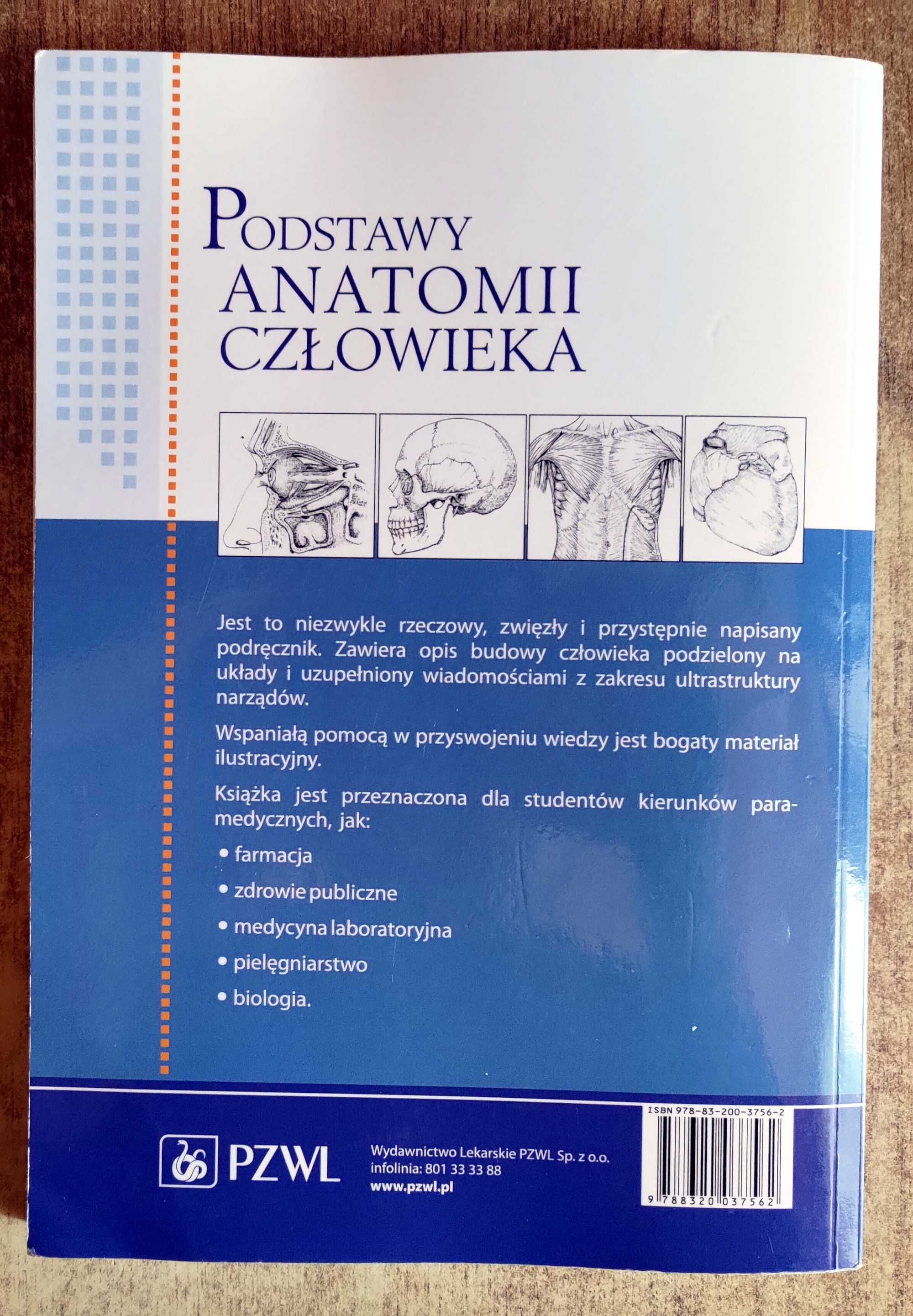 Podstawy anatomii człowieka - Bogusław K. Gołąb