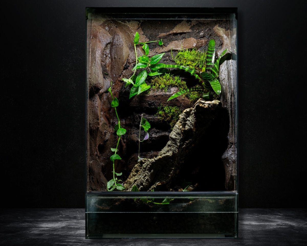 Terrarium 40x40x60