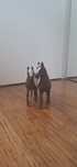 2 konie marki schleich