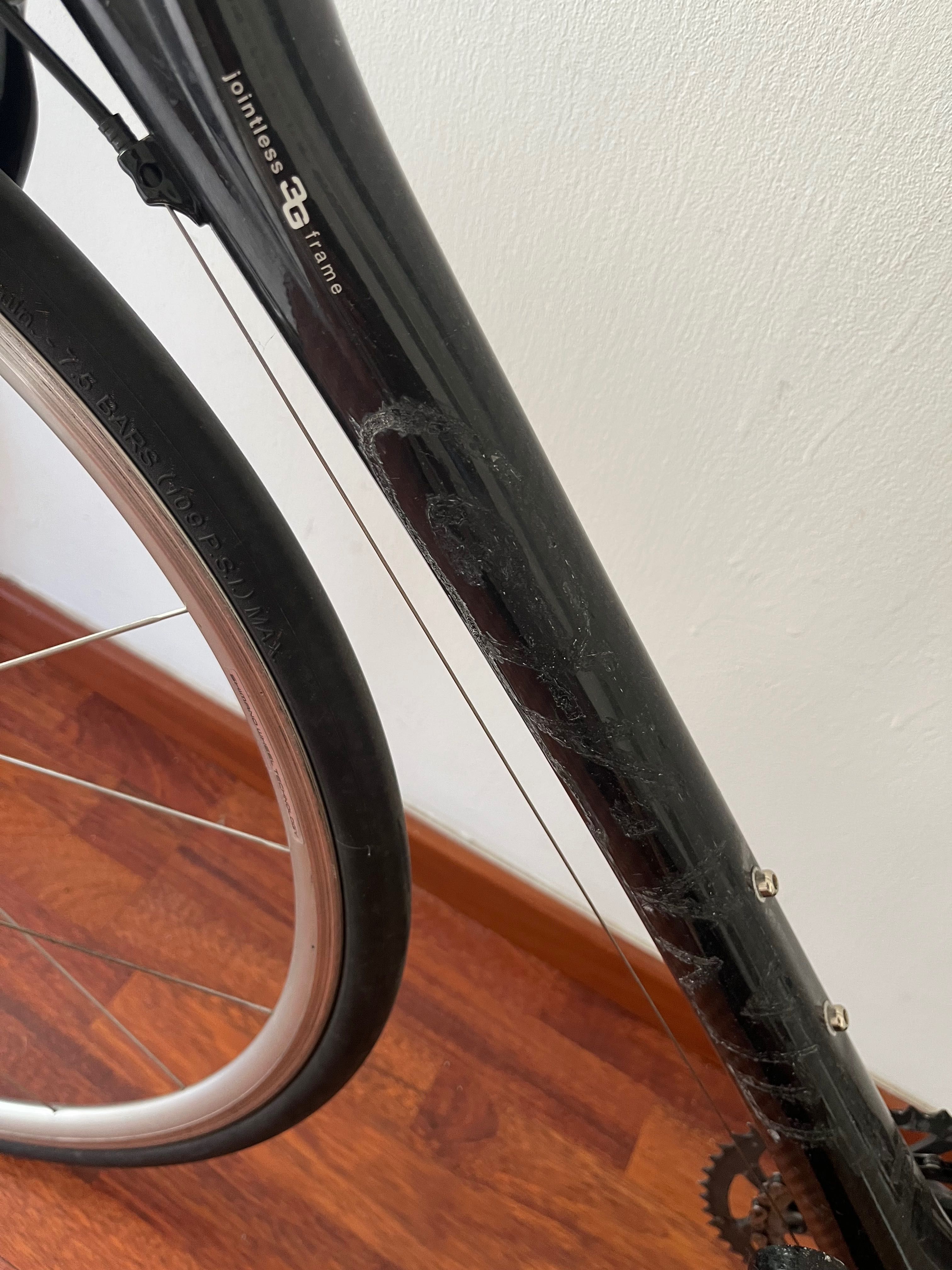 Giant Full Carbon roadbike, size L