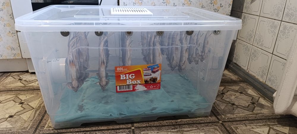 Сушилка для риби