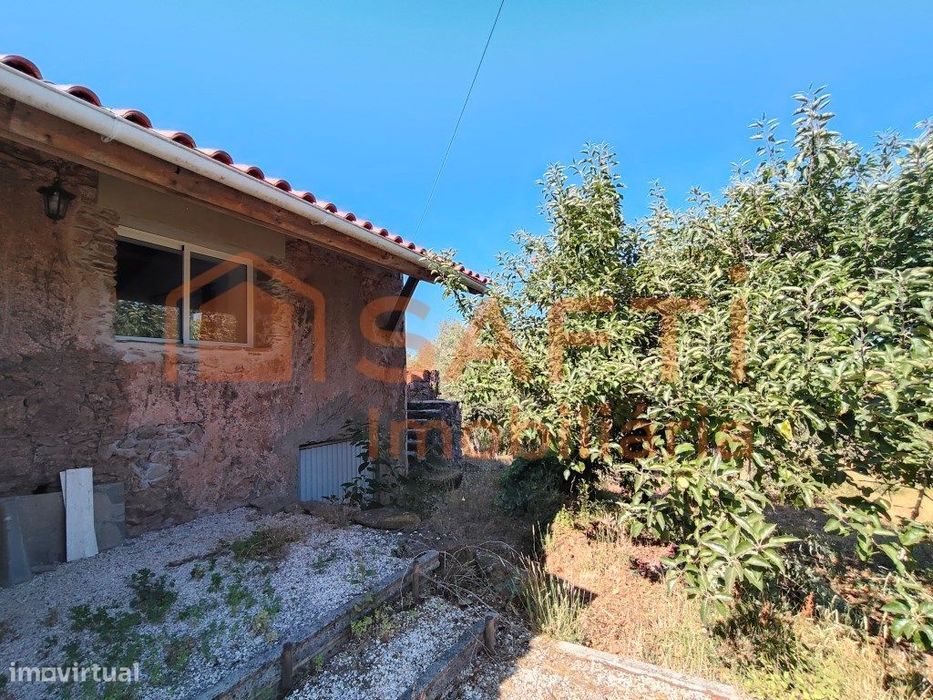 Moradia Com Terreno De Cultivo, Furo Com Água Própria, Anexo E Uma ...