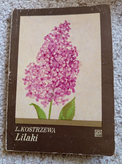 Lilaki, L. Kostrzewa