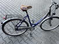 Rower miejski Hercules Free Way 7