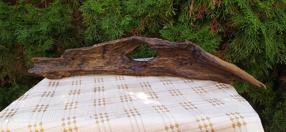 Konar z otworem do akwarium-57 cm