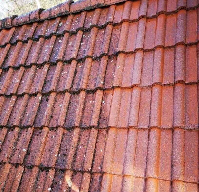 Koszenie przycinanie wycinka drzew sprzątanie obsługa wspólnot