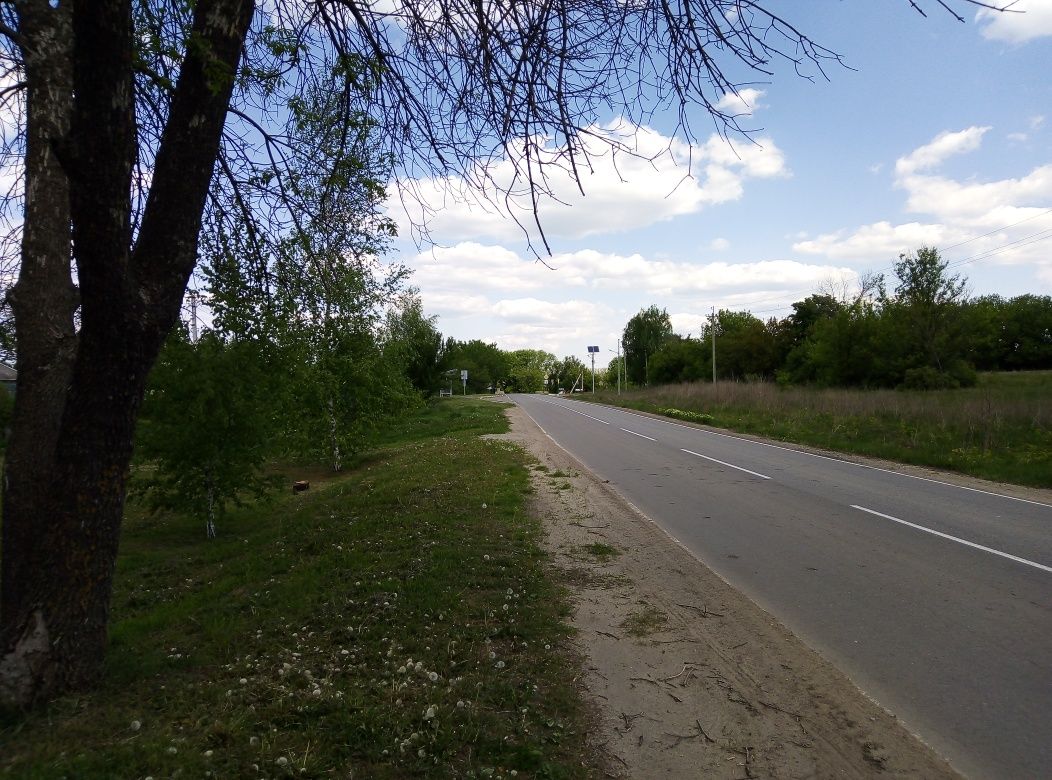 Продам дом в селе Сороковка