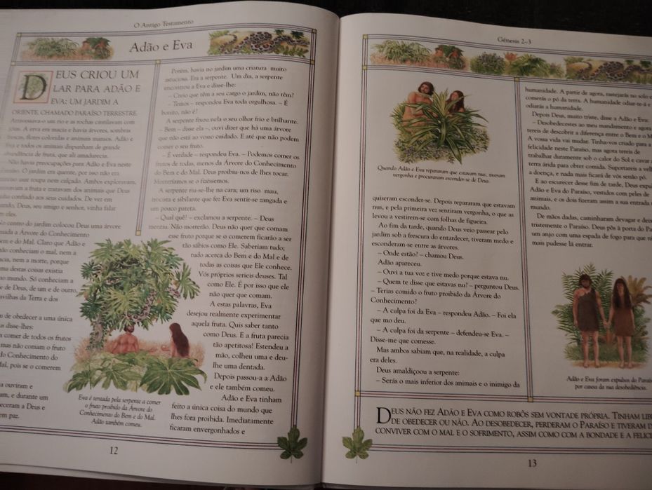 Livros Juvenis Usados