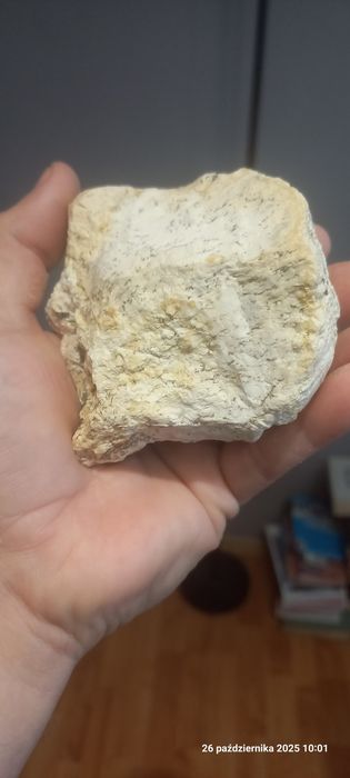 Minerały magnezyt z dendrytami