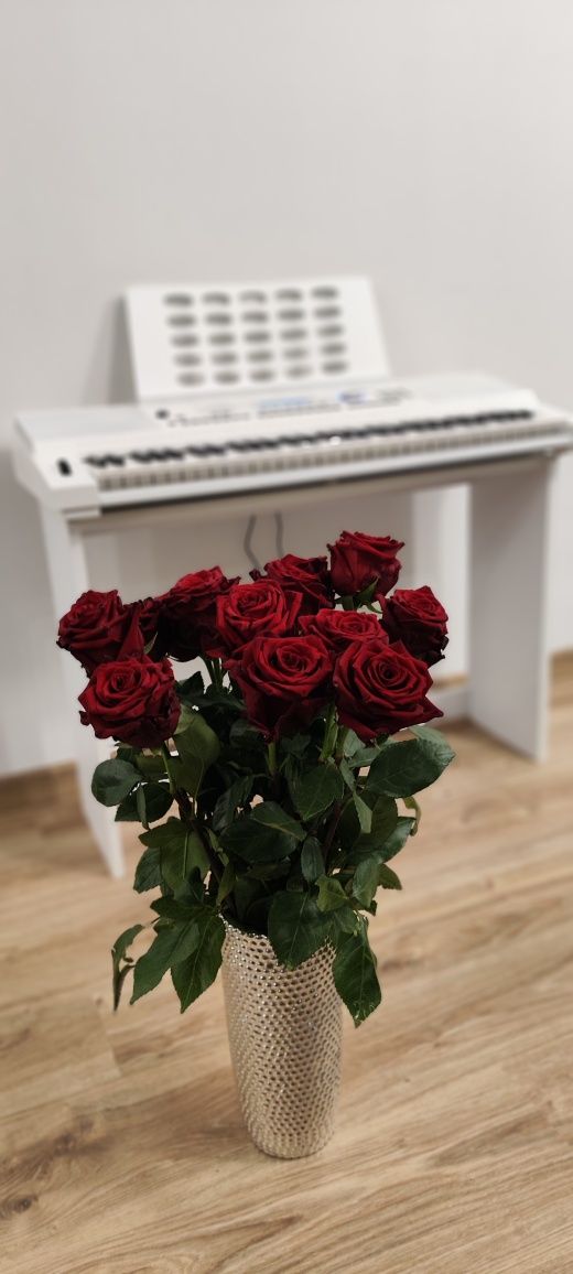 Kurzweil KP110 зі стендом синтезатор білий міні піаніно з мікрофоном