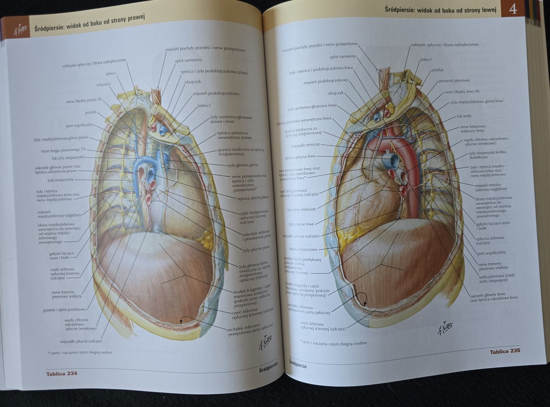 Atlas do anatomii Netter