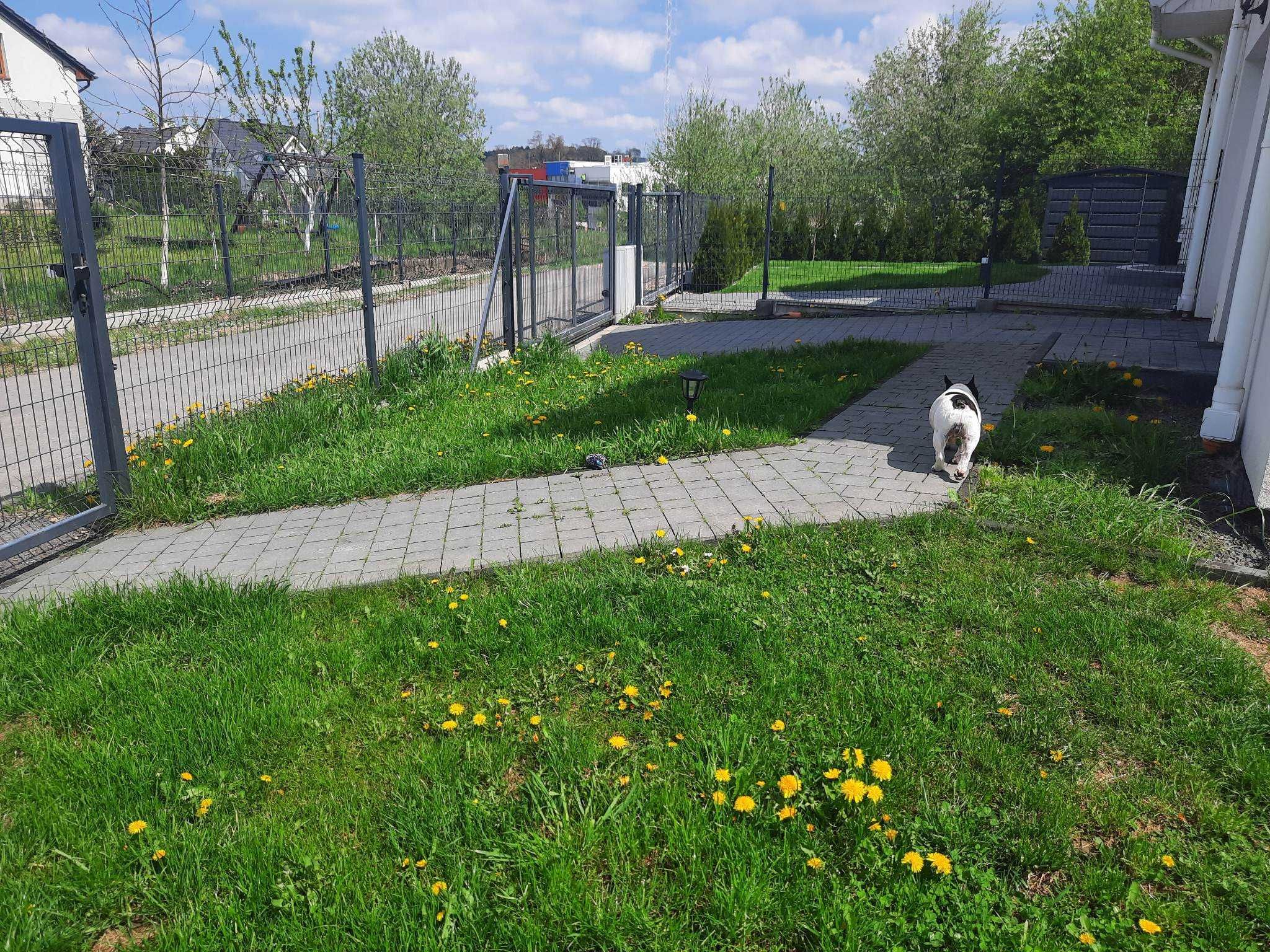 Założenie ogródka w Wieliczce