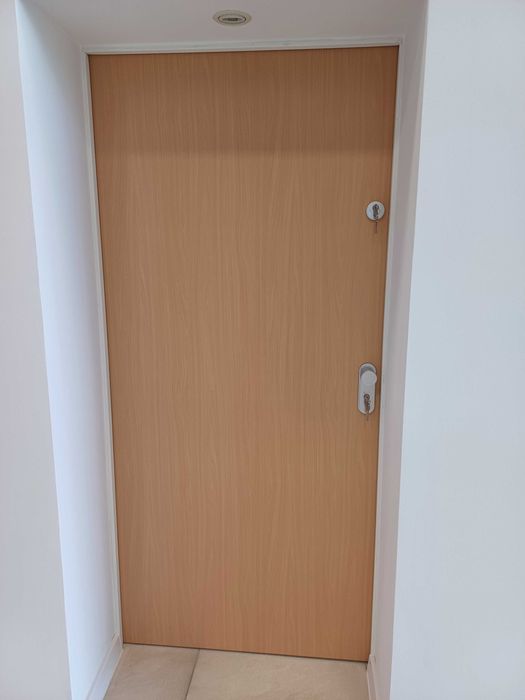 Drzwi poekspozycyjne wewnątrzklatkowe DGM stalowe OKAZJA