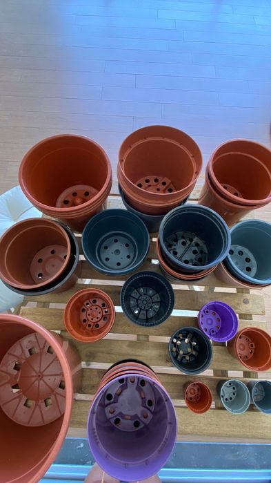 50 Vasos plástico para plantas