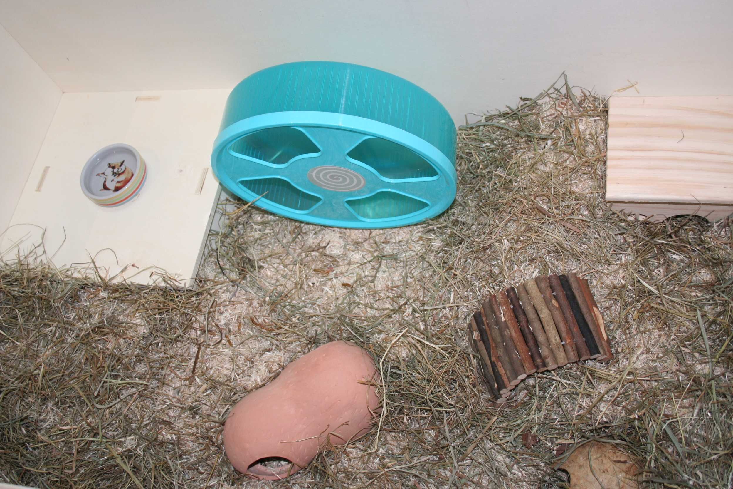 Terrário para hamsters ou outros roedores