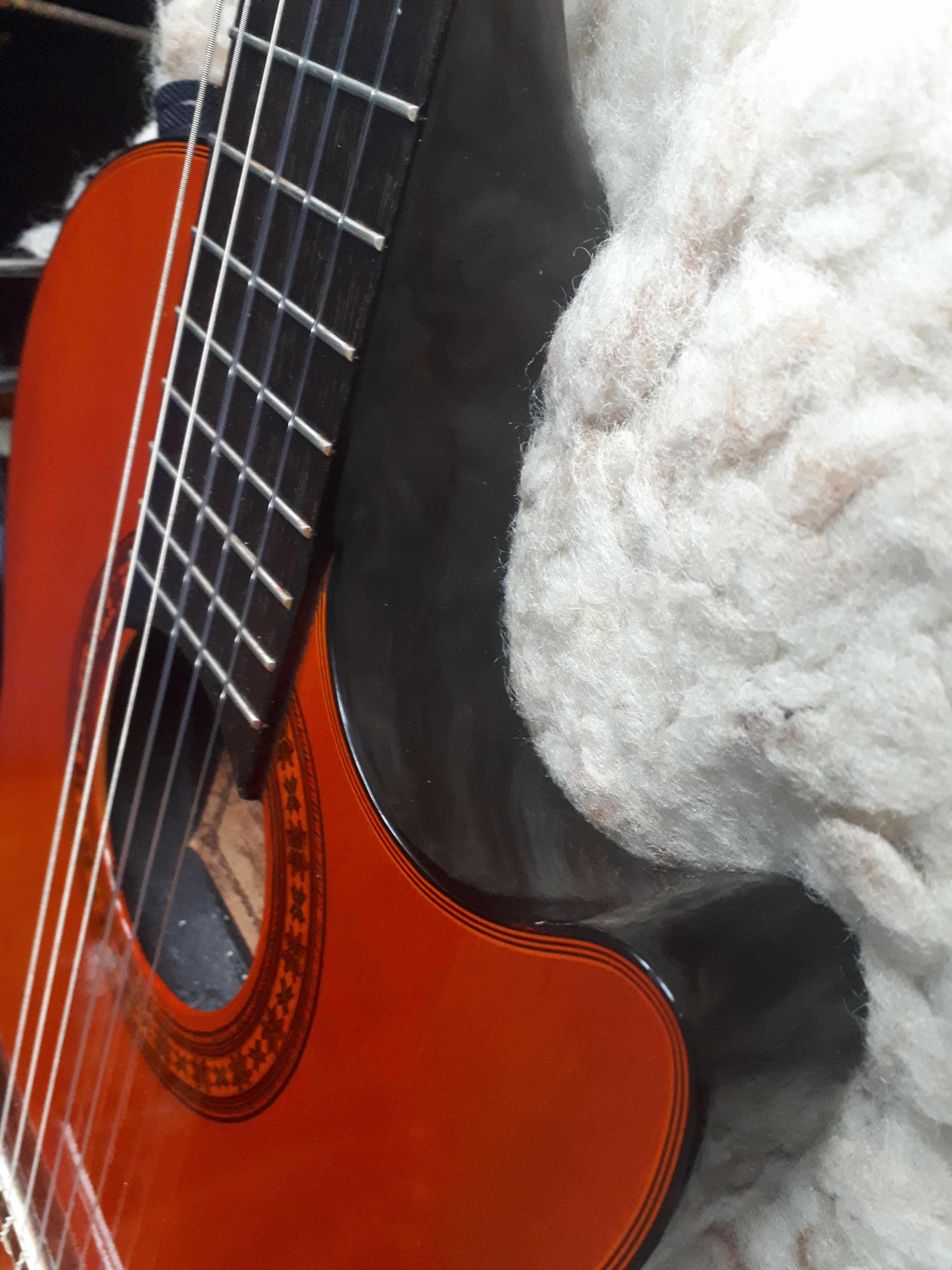 Elektroklasyczna.Hohner PROFESSIONAL TWP.jak.Gibson.Chet Atkins