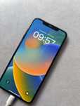 iPhone XS max 64gb 83% bateria