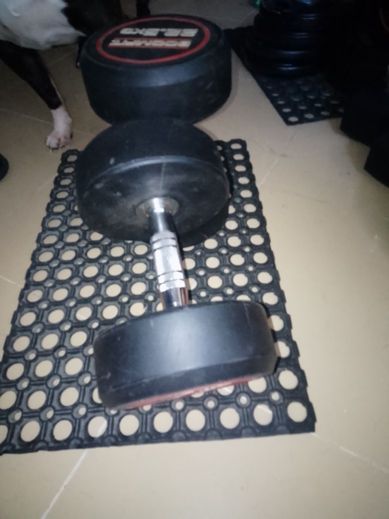 Halteres redondos Boomfit 22,5 kg