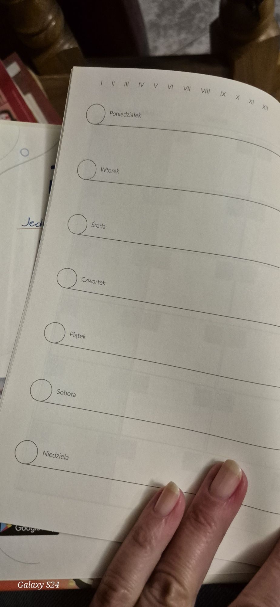Planer - organizer