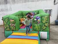 Insuflavel profissional