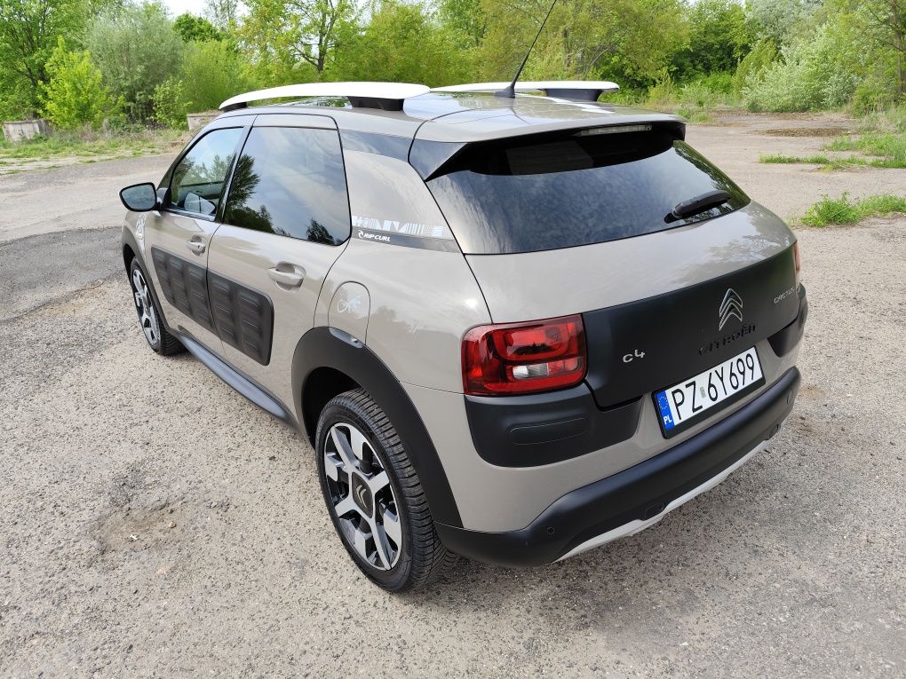 Citroen C4 Cactus wersja limitowana Rip Curl