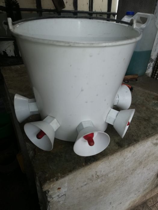 Bebebor para borregos de leite 11 litros