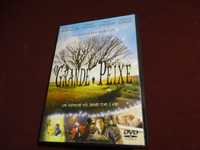 DVD-O Grande Peixe-Tim Burton