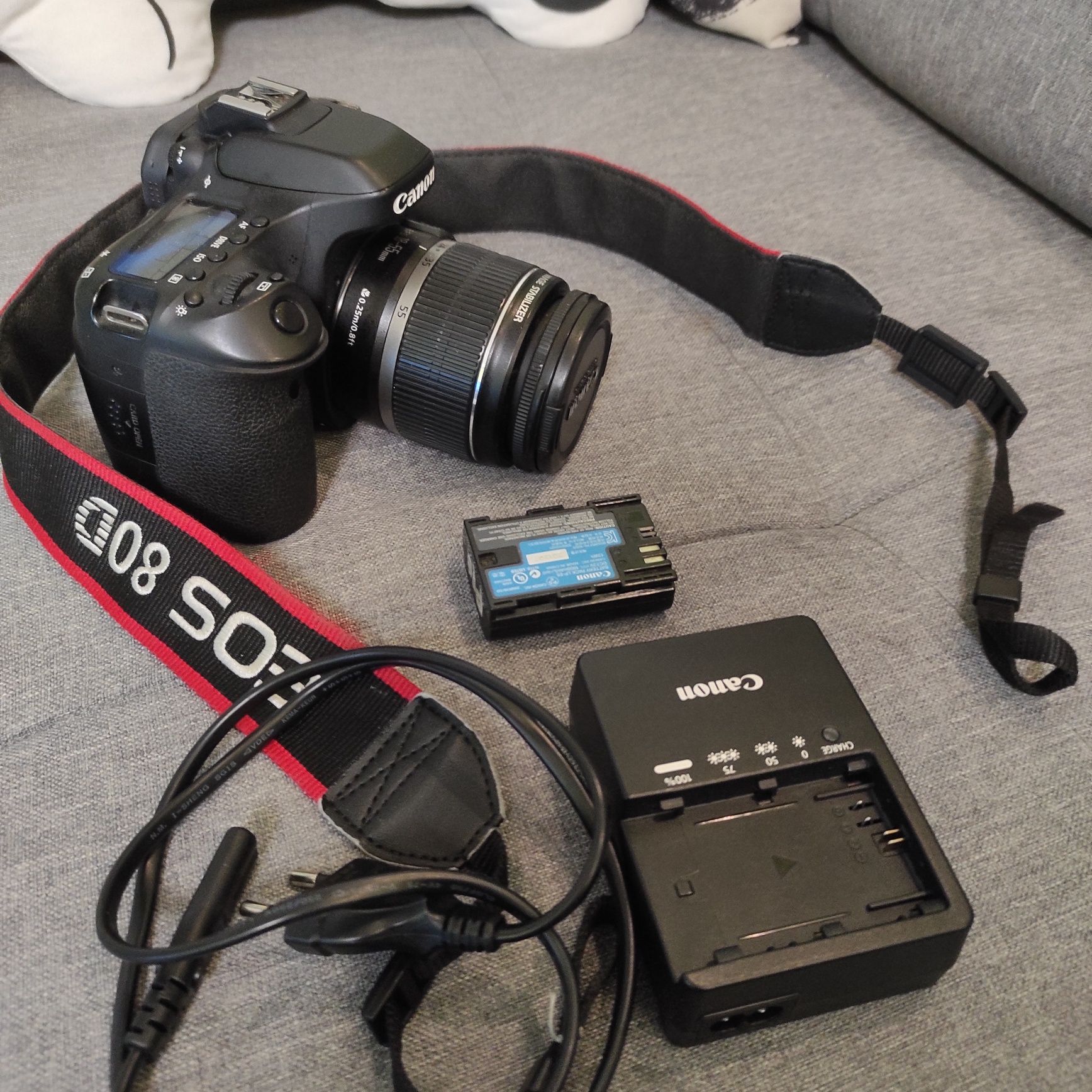 Canon EOS 80D + obiektyw