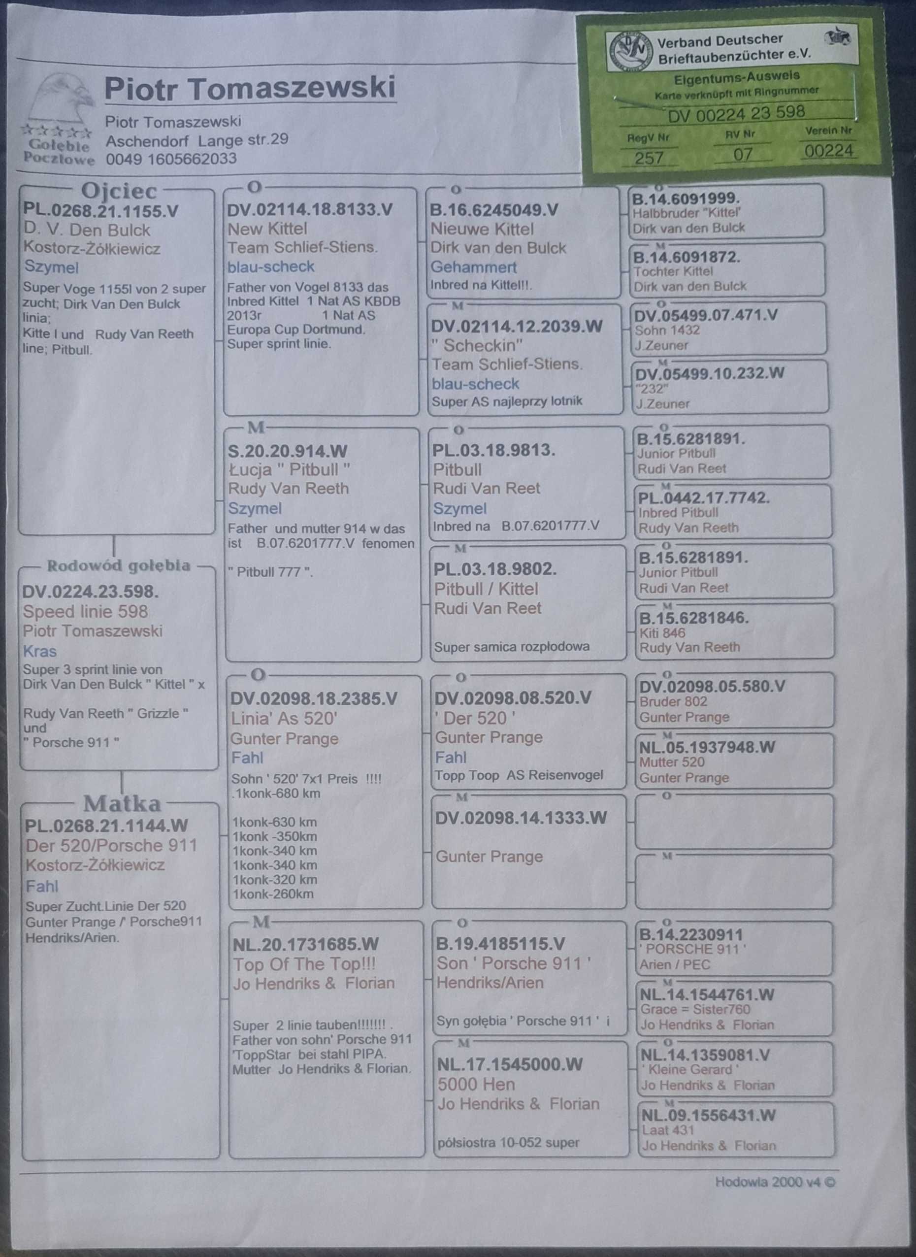 Super młode po top rodzicach !!! OKAZJA !!!