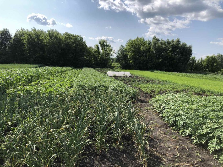 Пролам будинок в с.Гостинне