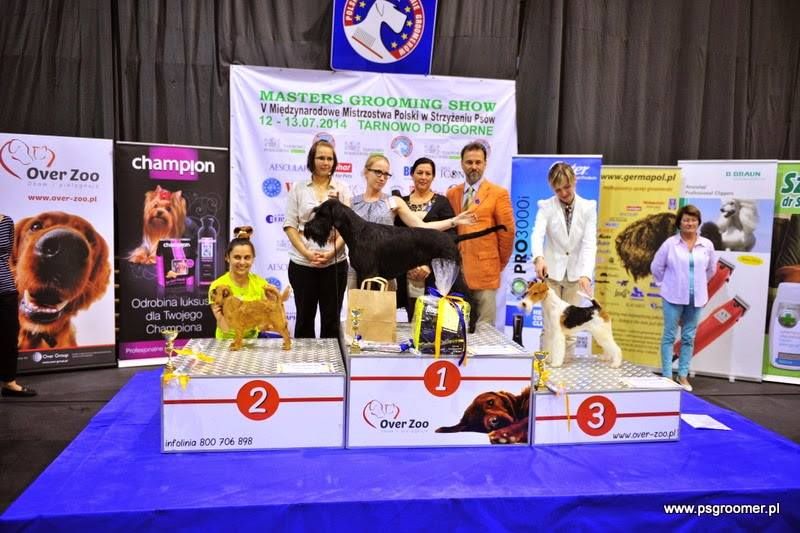 Kurs strzyżenia psów - kurs groomingu salon Kudłatek Mława