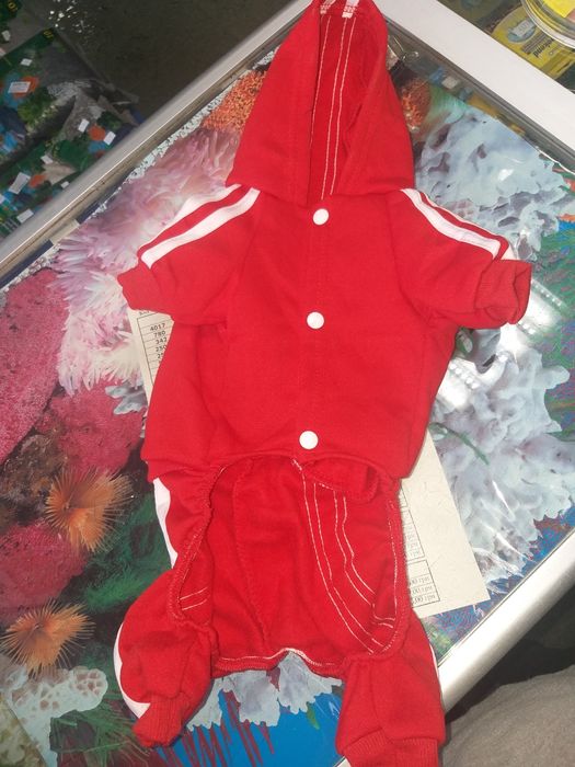 Костюм adidog для собак