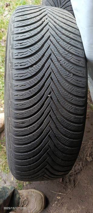 Шини зимові Michelin