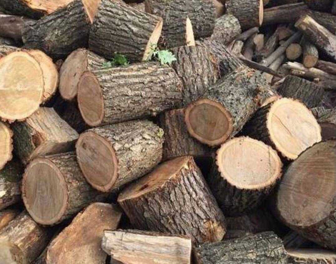 Продам дрова, разных пород.