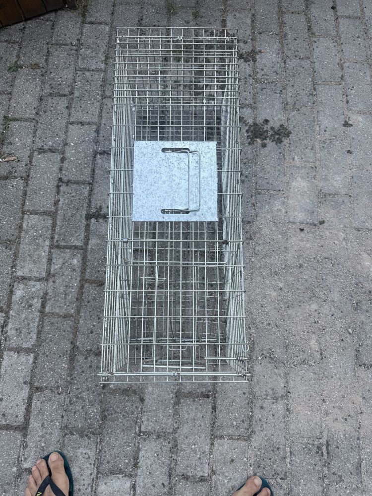Armadilha para gatos