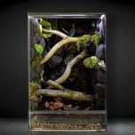 Terrarium tropikalne 40x40x60 gekon orzęsiony jaszczurka