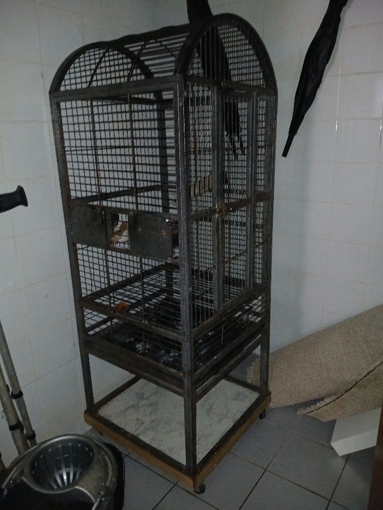 Vendo Gaiola de papagaio
