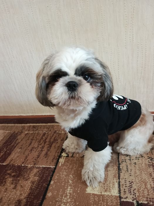 Одяг для собак до 10кг