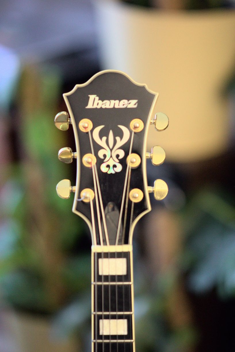 Ibanez AF95 gitara jazz blues rock hollow body archtop