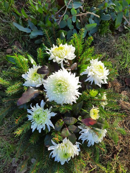 Wiązanki z żywych kwiatów chryzantem TANIO