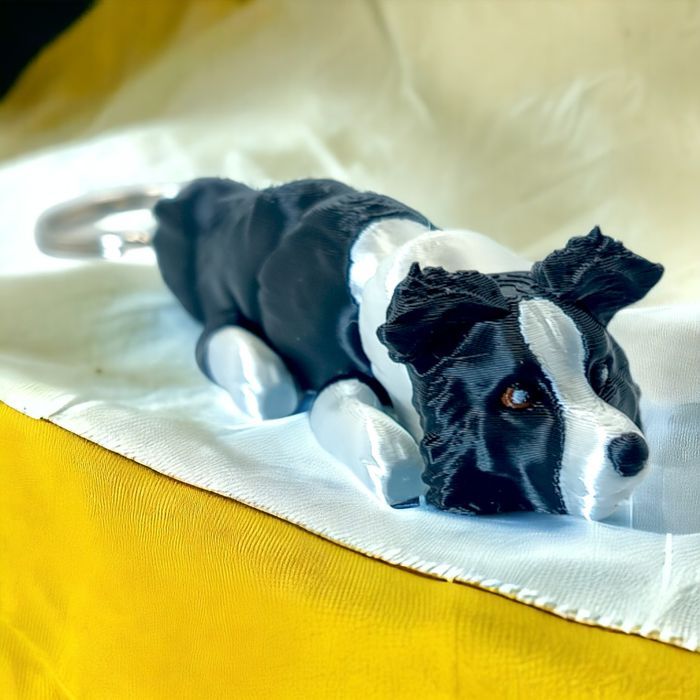 Ruchomy Brelok - Pies Border Collie Baby,  Breloczek, Brelok 71W1