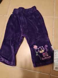 Spodnie welurowe r. 74, kotek
