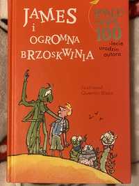 James i ogromna brzoskwinia Roald Dahl książka dla dzieci