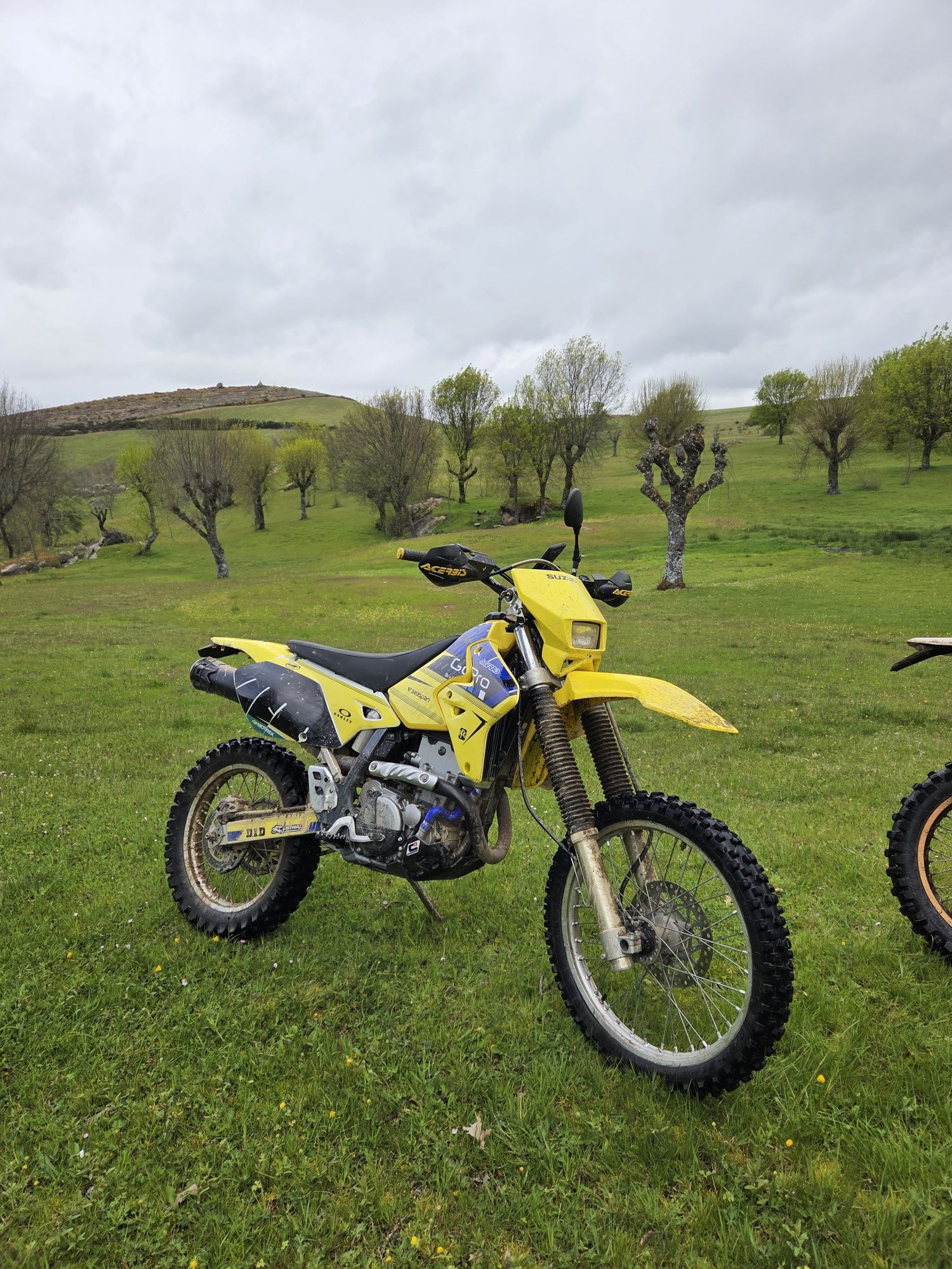 Suzuki DRZ 400 E