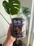 Brit mokra karma 800g