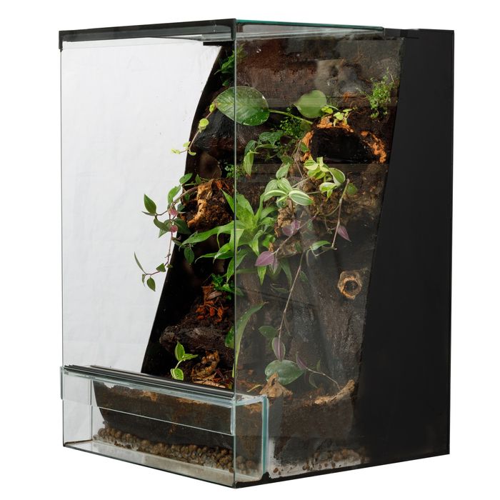 Terraria tropikalne 40x40x60