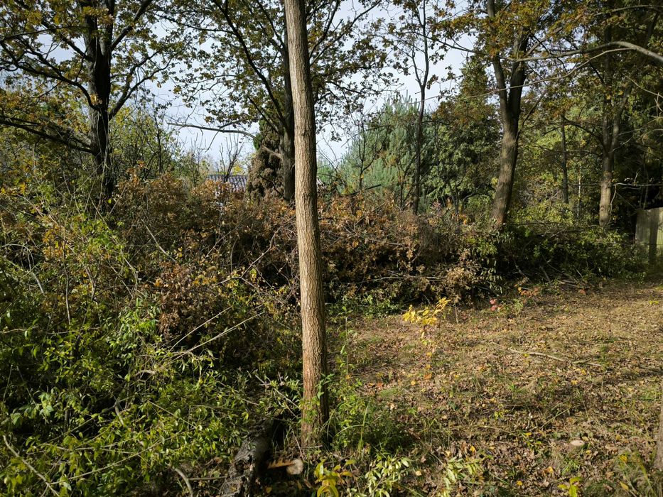 działka rekreacyjna z domkiem