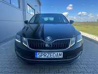 Skoda Octavia Salon Polska