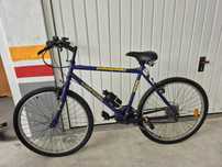 Bicicleta adulto