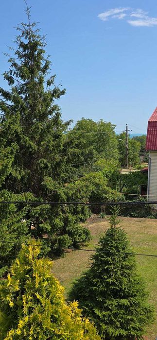 Дом в Золотой Горке, 20 соток, делимый участок, винный погреб, сауна